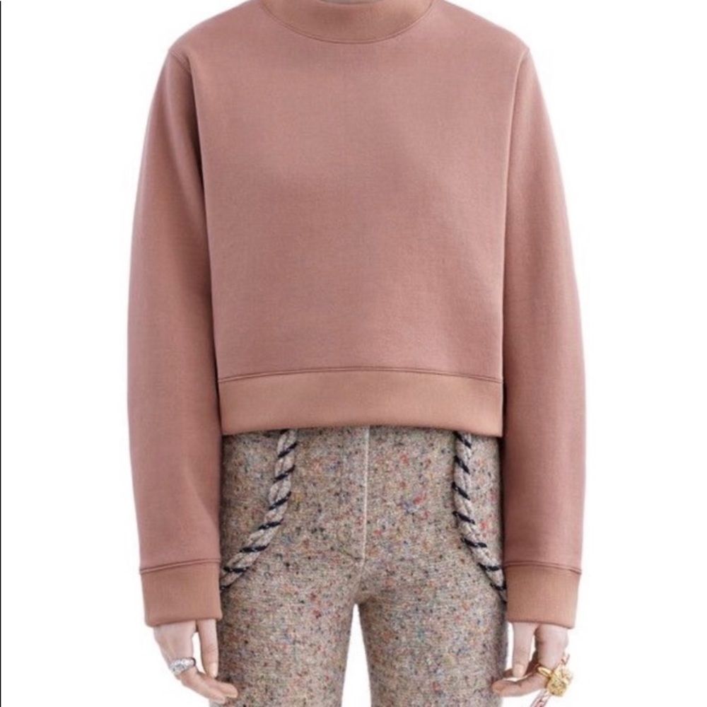 ACNE Studios Dusty Rose Bird Sweatshirt